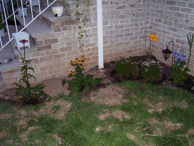 Flowers_009_Small_