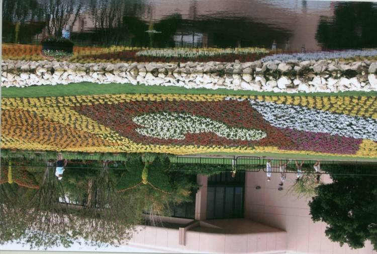 flowersofmickey
