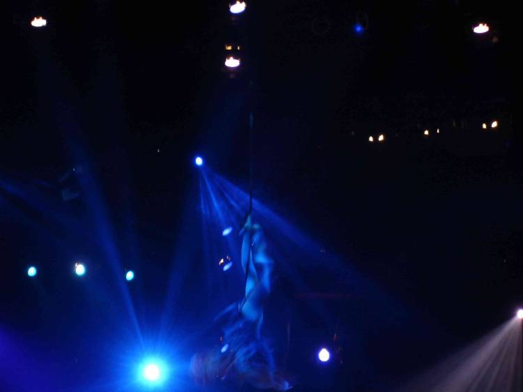 Flying