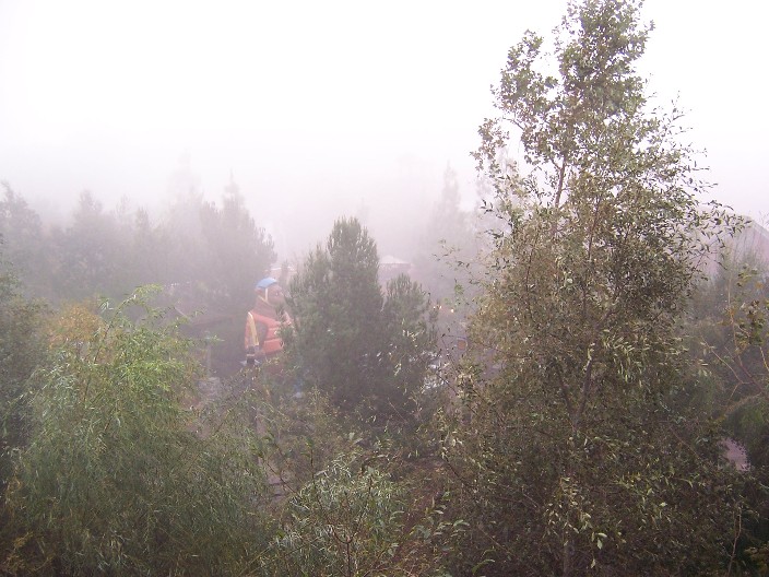 Fog