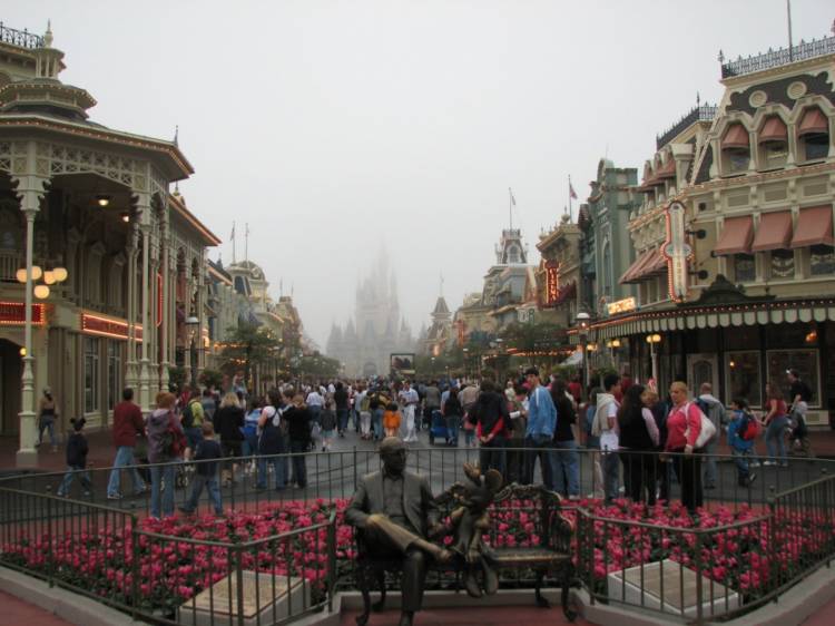 Foggy Morn