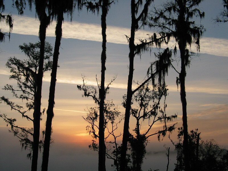 Foggy Sunrise from WL room