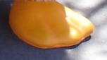 FootRiddle2