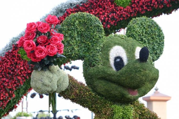 For Minnie, my sweet