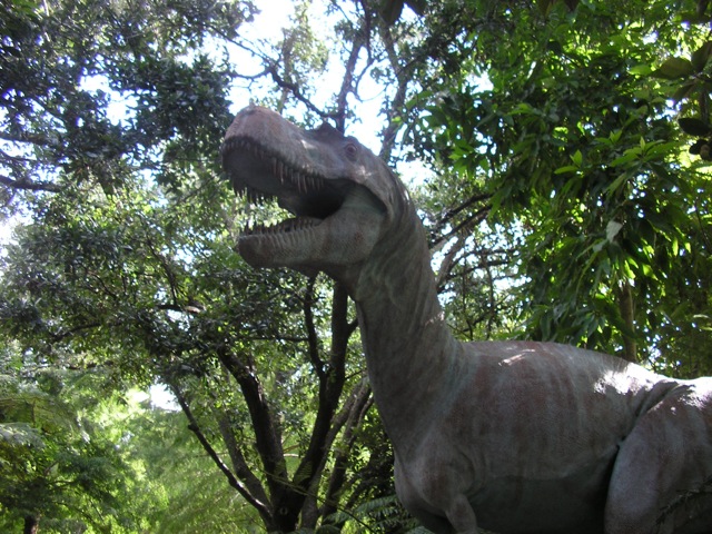 Forest Primeval