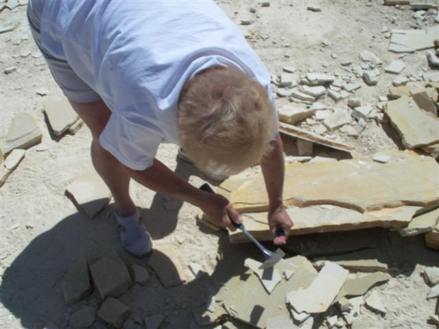 Fossil Hunting