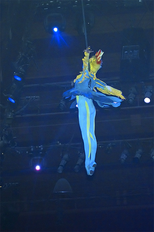 FotLK acrobat 1