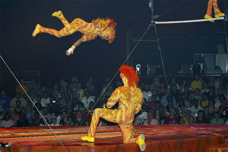 FotLK Monkeys 4