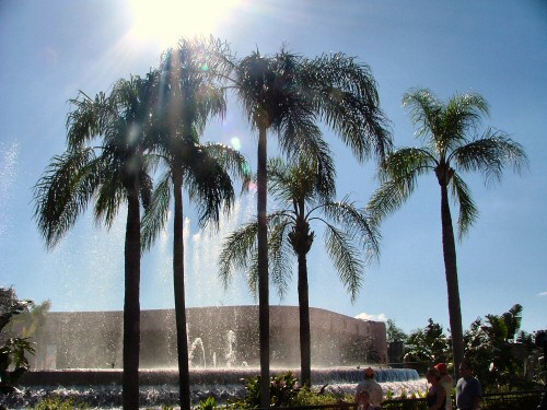 Fountain View