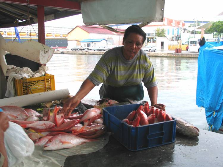 fresh fish anyone?
