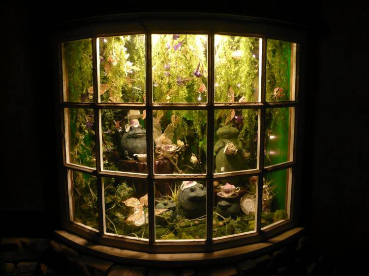 Frog Tea Party
