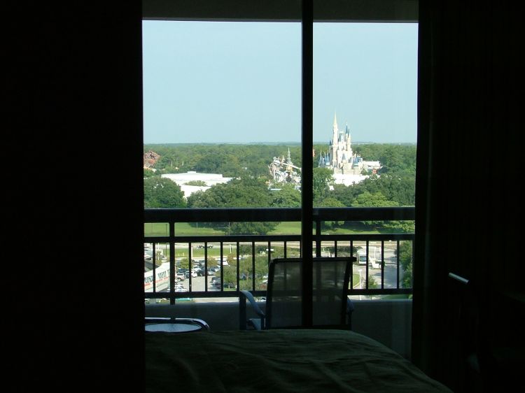 From the tub in the Master Bath