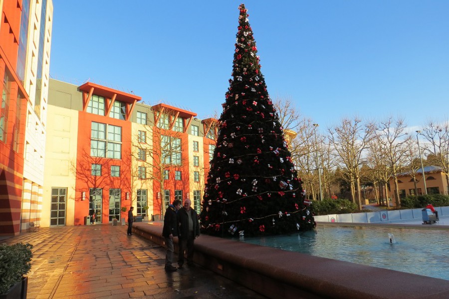 Front of HNY with tree