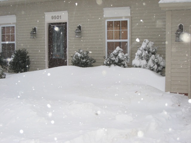 Front_of_house