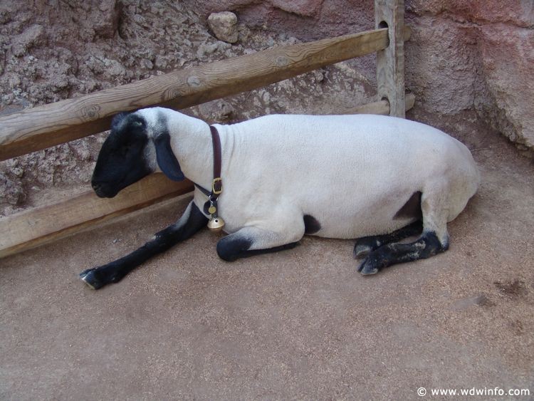 Frontierland-DL-59