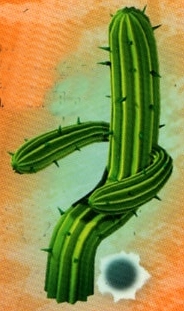 Frontierlandquestcactus