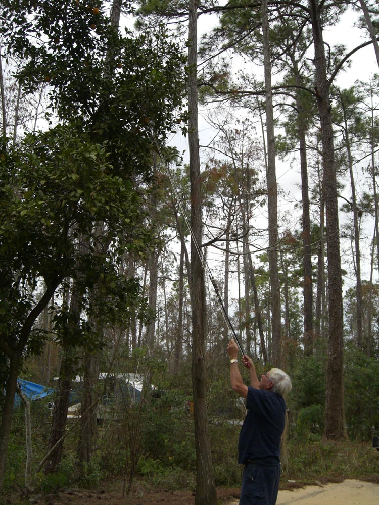 Fruit_fishing_2005_1