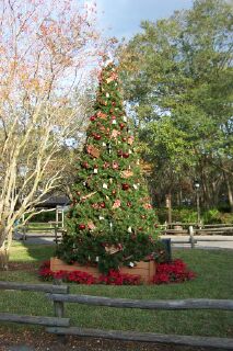 FW_Tree