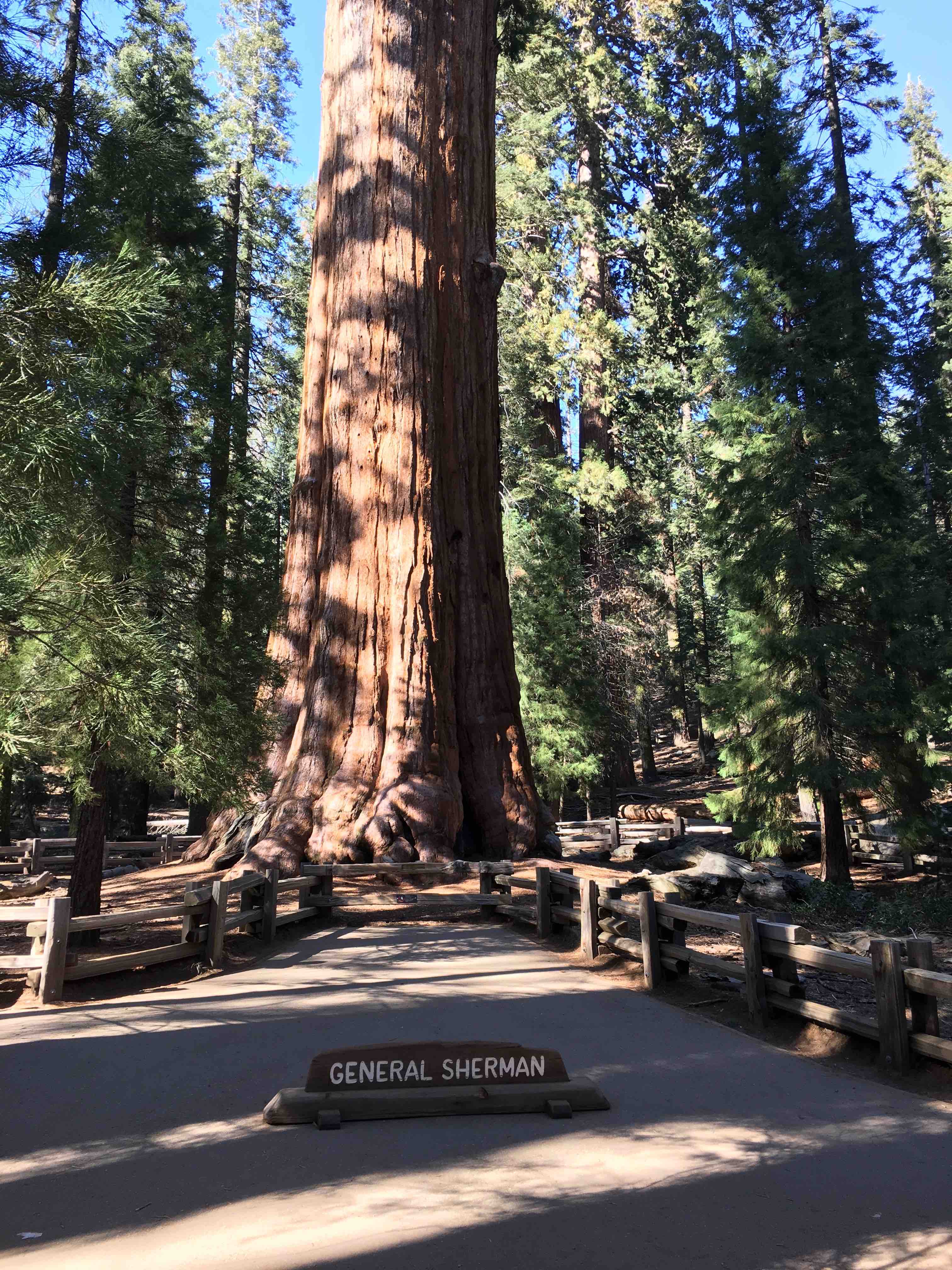General Sherman