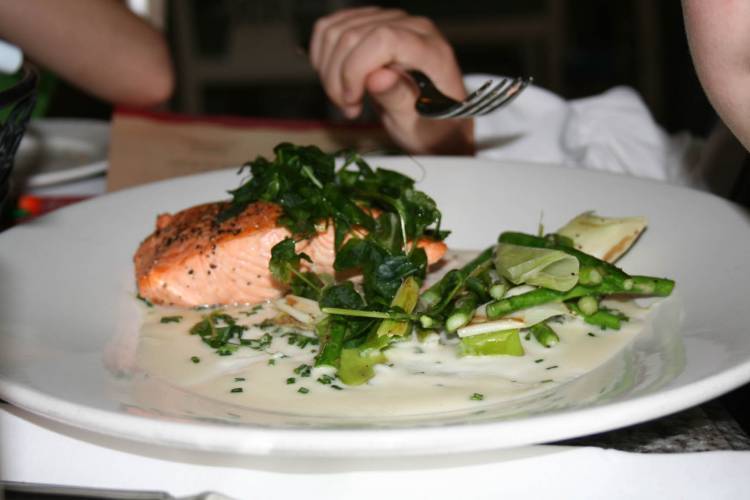 gfc salmon