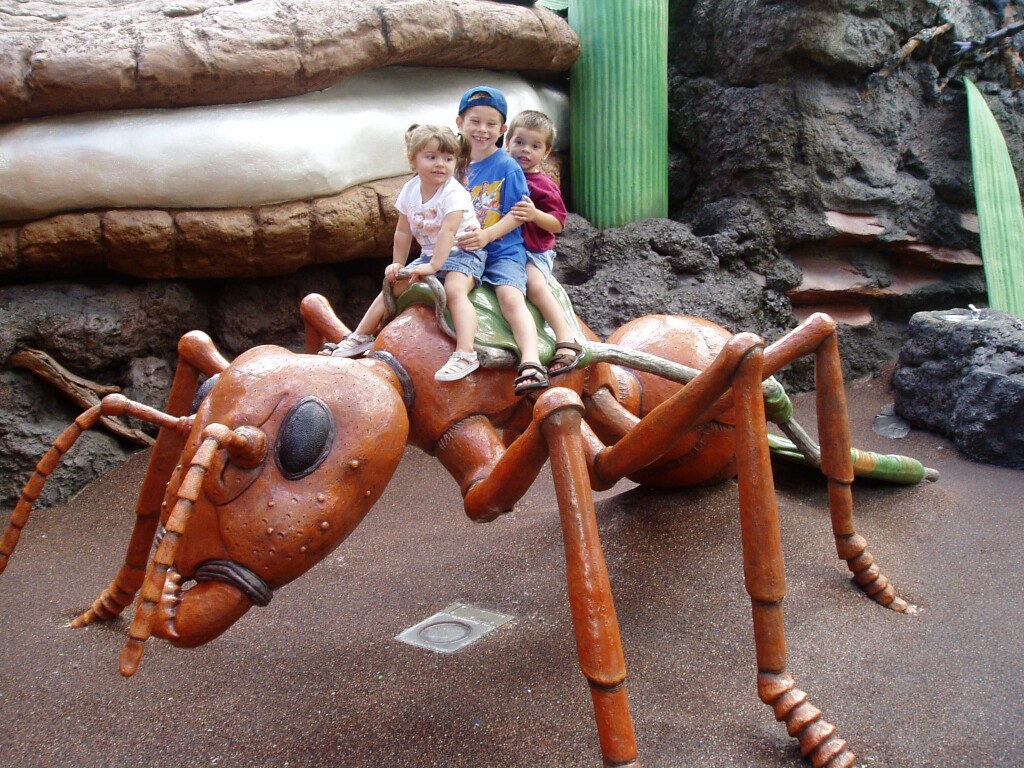 Giant Ant