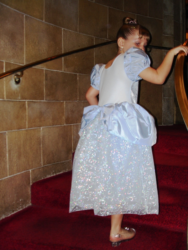 glass slipper