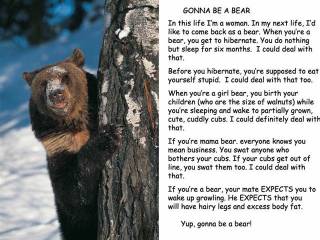 GonnabeaBear