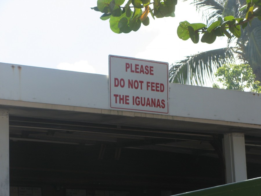 Good rule to live by