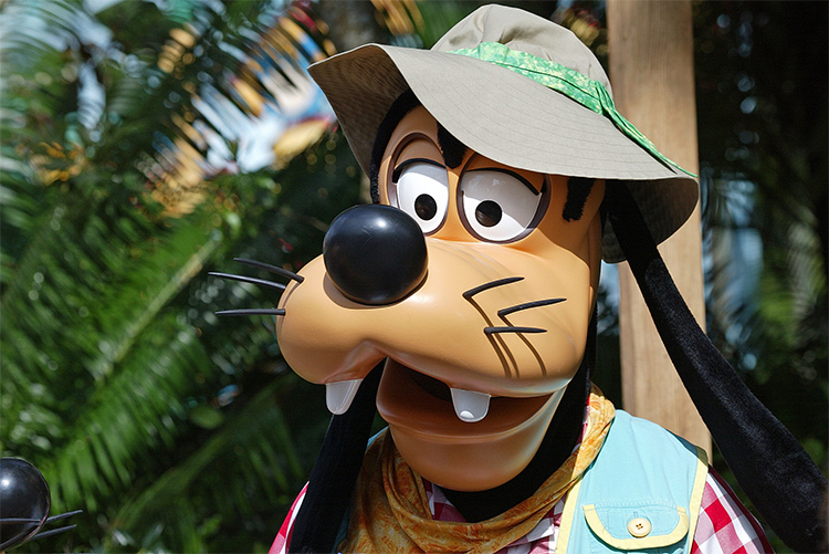Goofy at AK