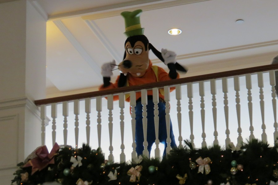 Goofy in DLH