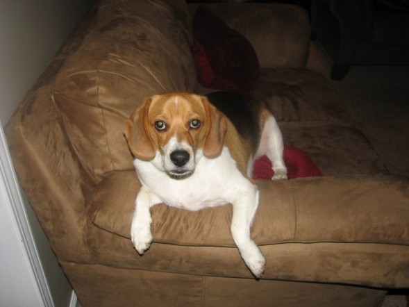 grady1
