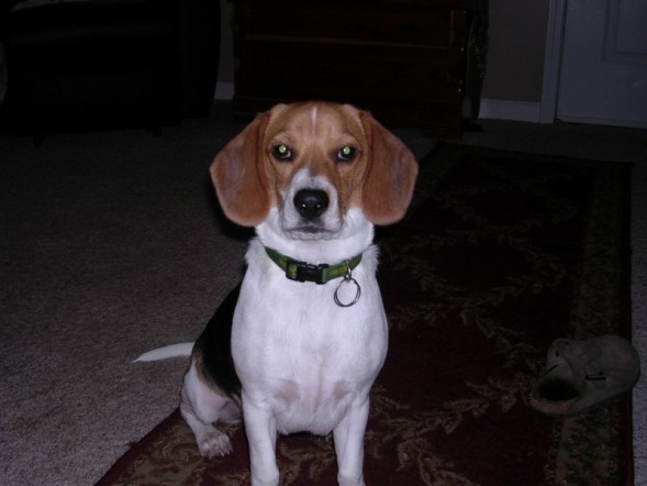 Grady4