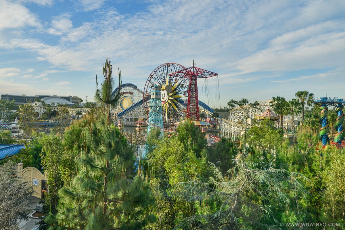 Grand-Californian-123