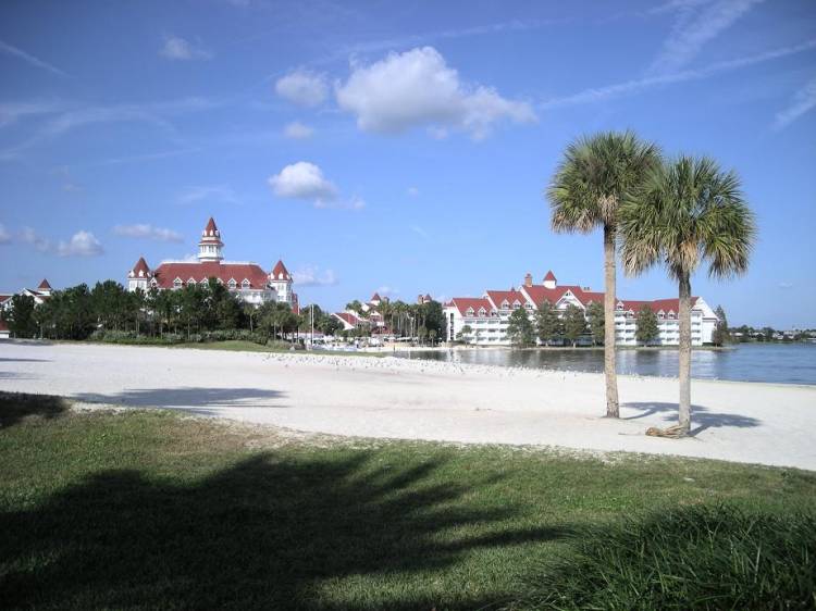 Grand Floridian Paradise