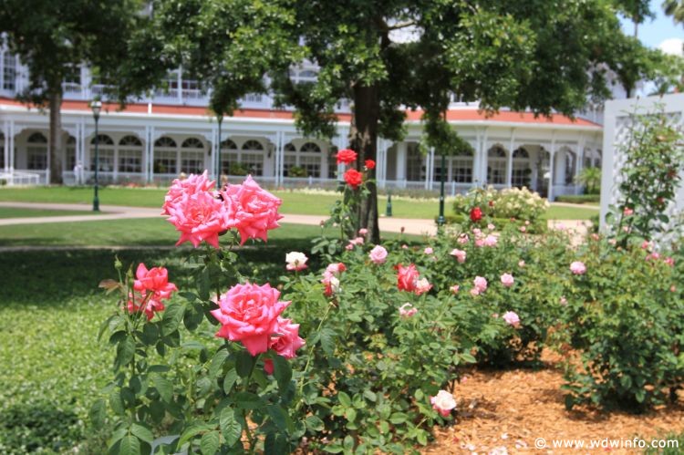 Grand_Floridian_38