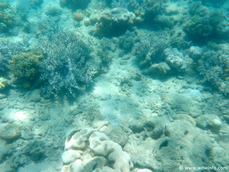 Great Barrier Reef