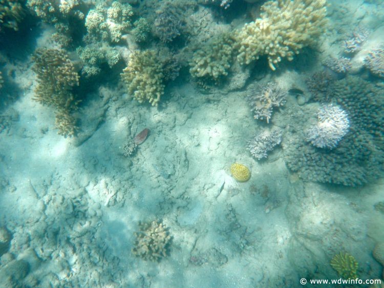 Great Barrier Reef
