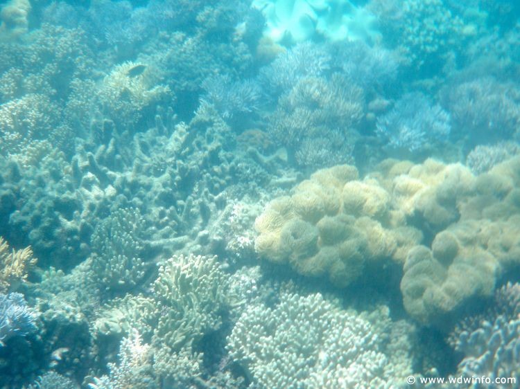 Great Barrier Reef