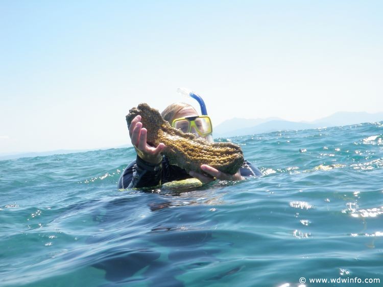 Great Barrier Reef