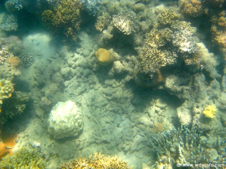 Great Barrier Reef