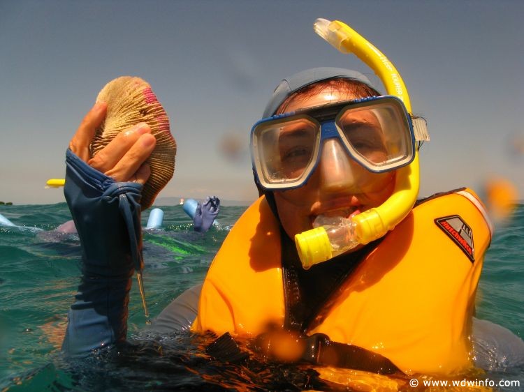 Great Barrier Reef