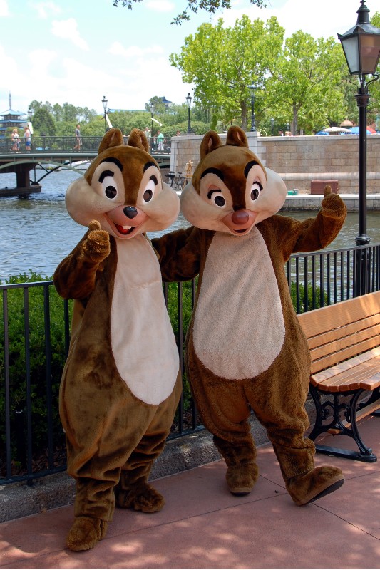 Greetings from Chip n Dale