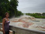 Gyser at Wilderness Lodge