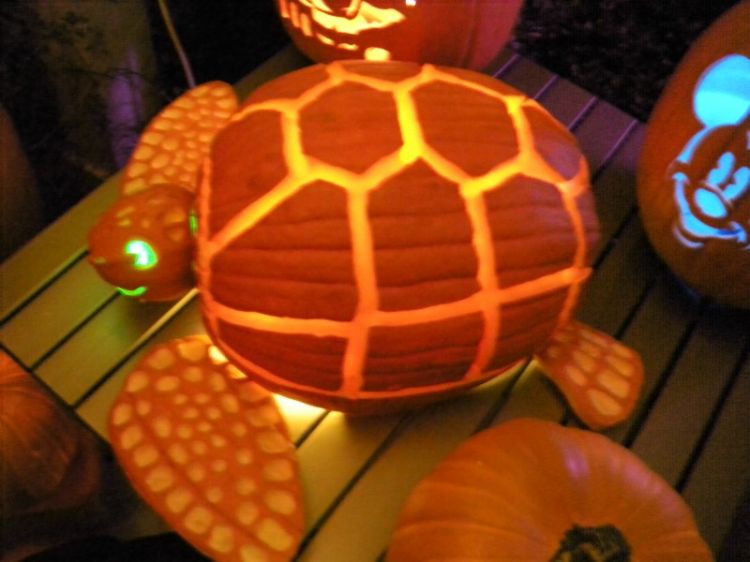 Halloween 2009