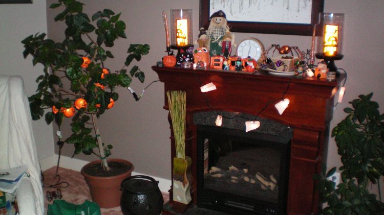 Hallowe'en decorations 3
