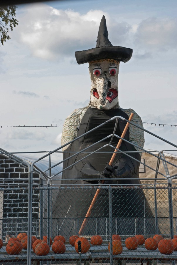 Halloween_Related_Witch2