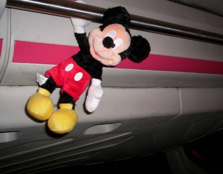 Hanging Around The Monorail