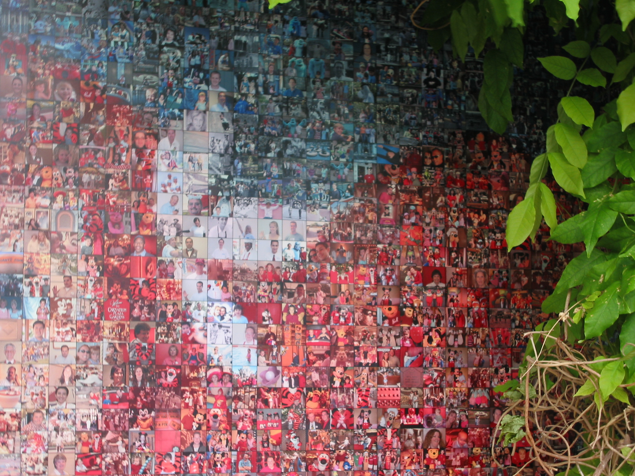 Happiest Faces on Earth-Detailed pics