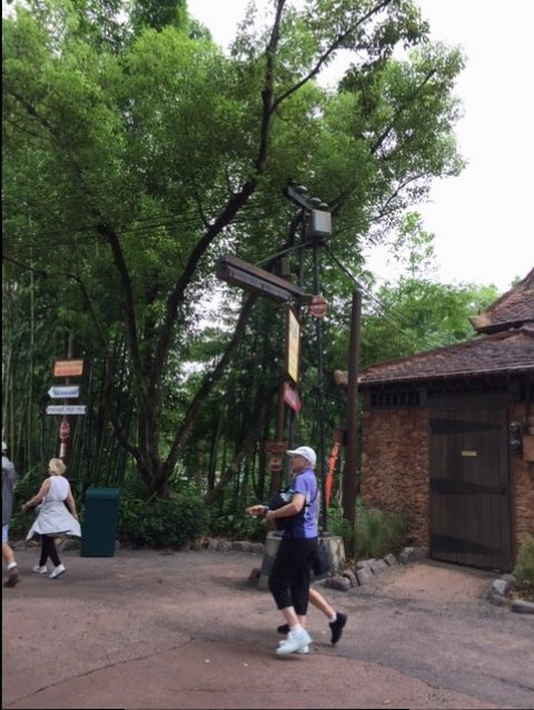 Harambe 3 - AK 09-09-2017