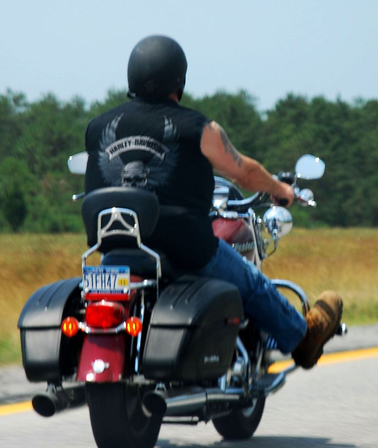 harley_wrider
